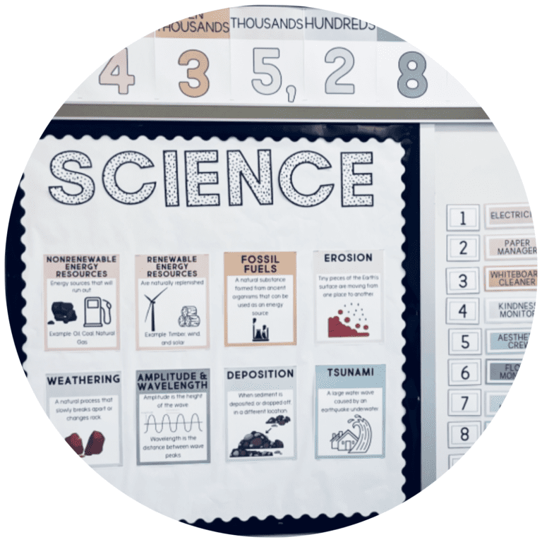 science vocabulary decor